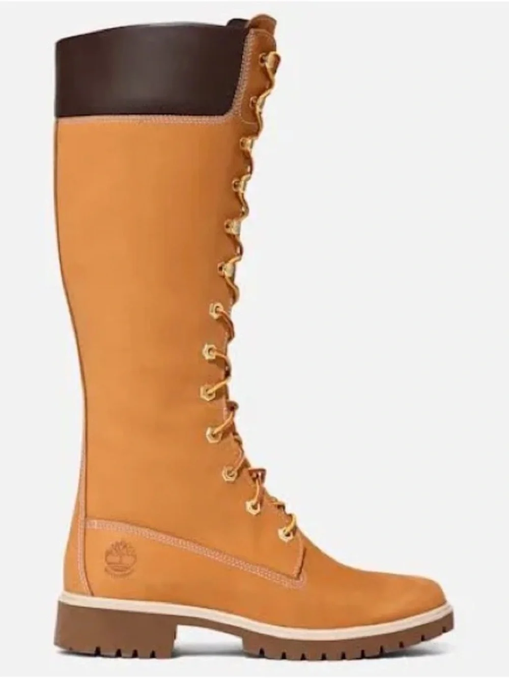 Timberland Women's Tall Lace-Up Boot in Wheat/Brown
